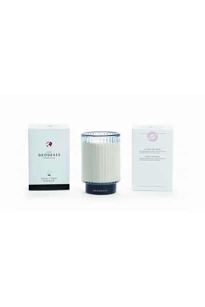 GEODESIS-001496--2