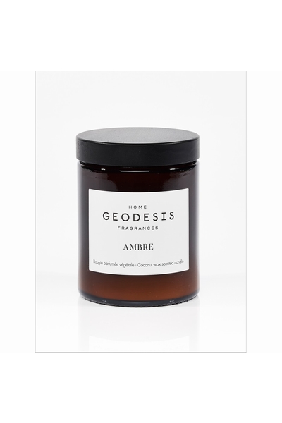 GEODESIS-P2294--2
