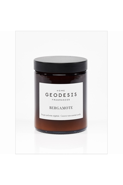 GEODESIS-P2295--2