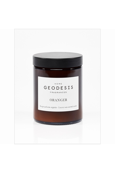 GEODESIS-P2302--2