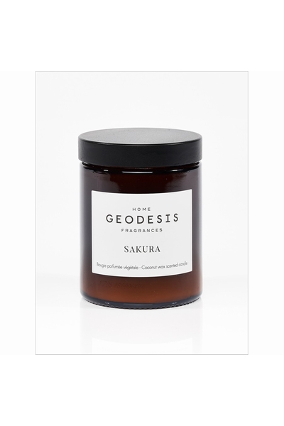 GEODESIS-P2462--2
