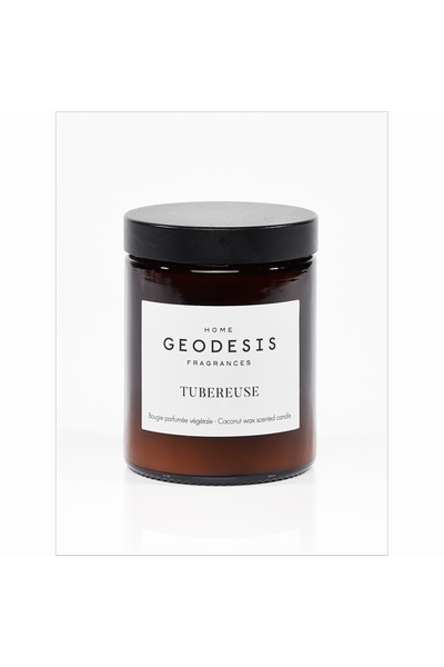 GEODESIS-P2463--2