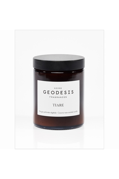 GEODESIS-P3099--2