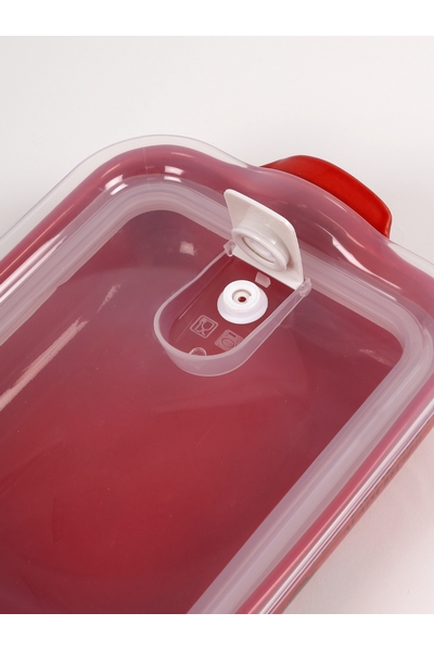PLAT HERMETIQUE LICHOUSERIES CERISE PLAT HERMETIQUE